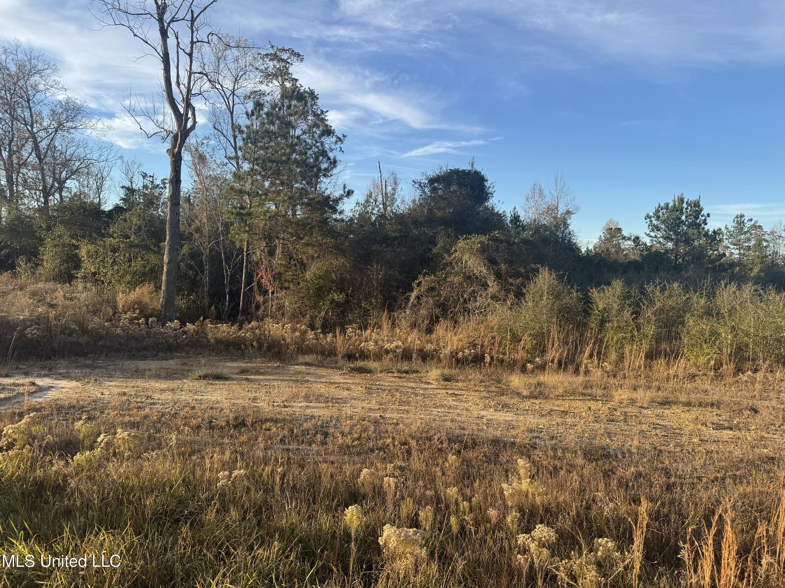 Property Photo:  5 Acres Parker Rd  MS 39561 