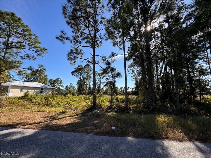 Property Photo:  1136 Dutchess Street E  FL 33974 