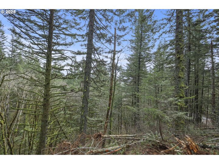 Property Photo: Kueffler Rd WA 98648
