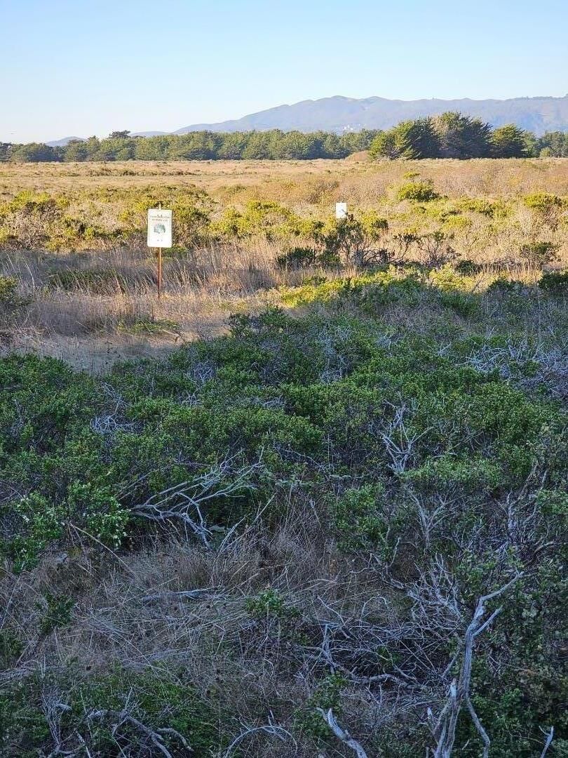 Property Photo:  0 Rose Avenue  CA 94019 