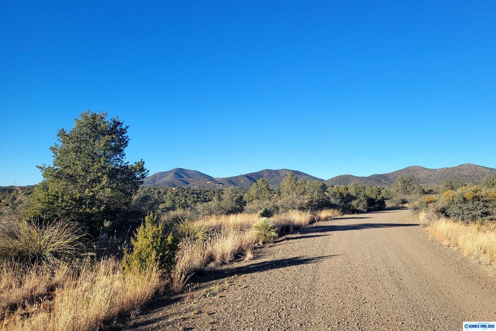 Property Photo: Xx Mesita Circle NM 88061