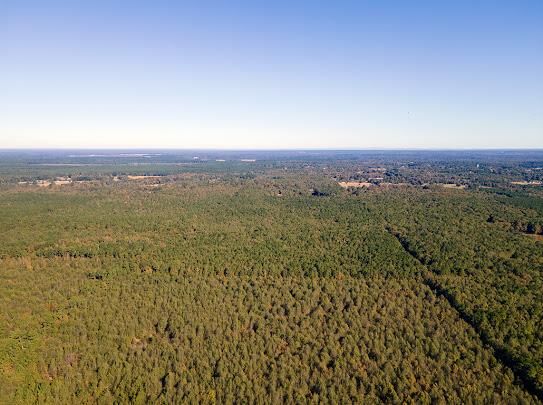 Property Photo:  000 Little River 43  AR 71822 