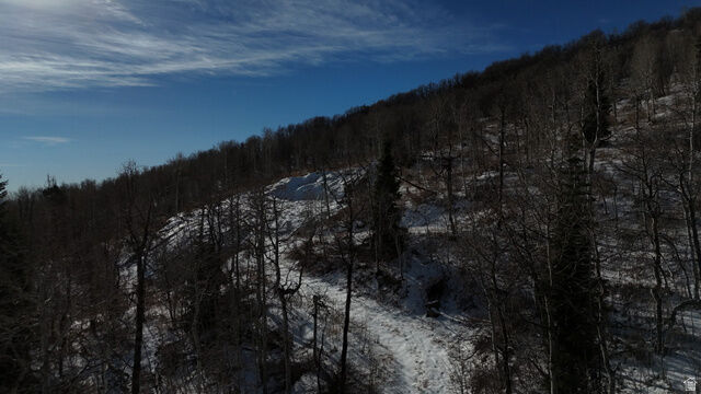 Property Photo: 10215 N Basin Canyon Rd 42 UT 84098