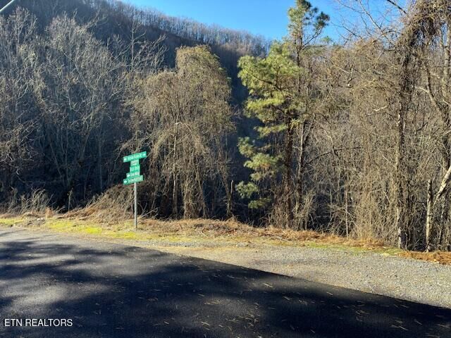 Property Photo: N/A Balsam Slopes Rd TN 37862