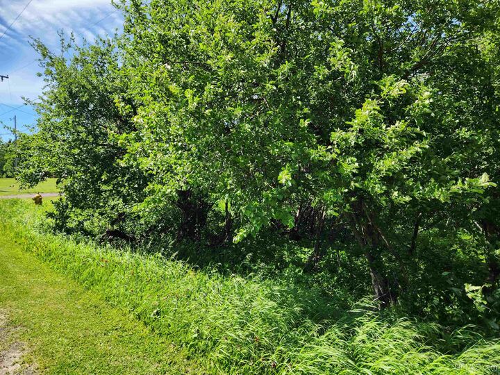 Property Photo:  Tbd A No 4 Road  MI 49913 