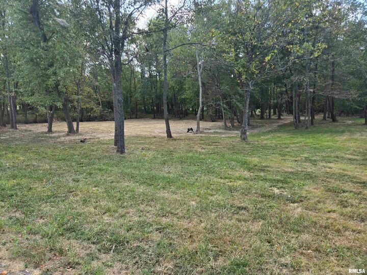 Property Photo: Lot 4 Norman Road IL 62959