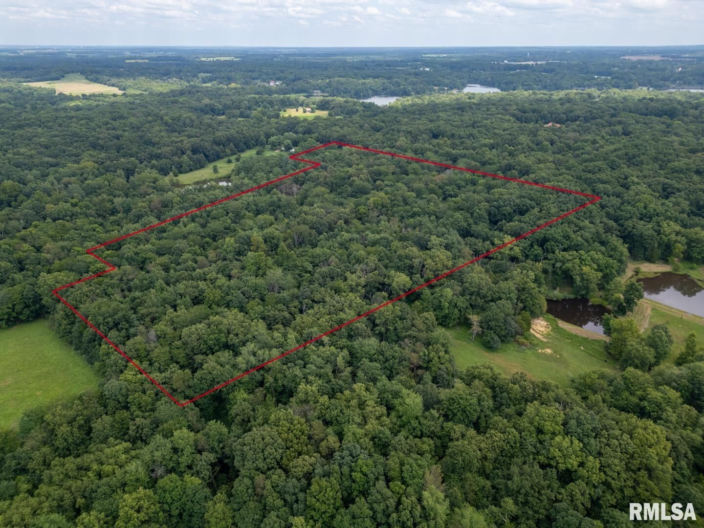 Property Photo: 2655 McReynolds Lane IL 62896