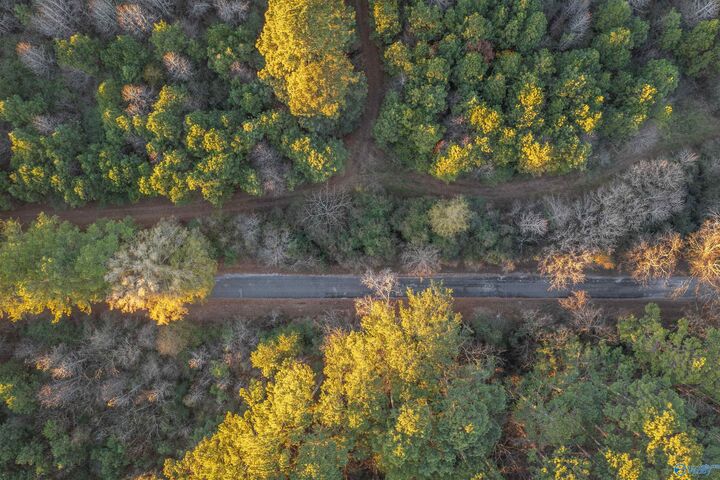 Property Photo:  76 Acres Broken Arrow Drive  AL 35901 