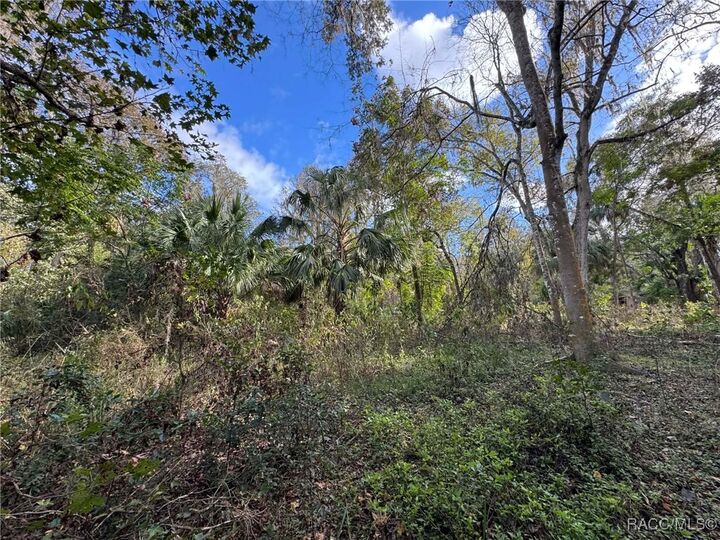 Property Photo: 9291 E Riverbluff Court FL 34453