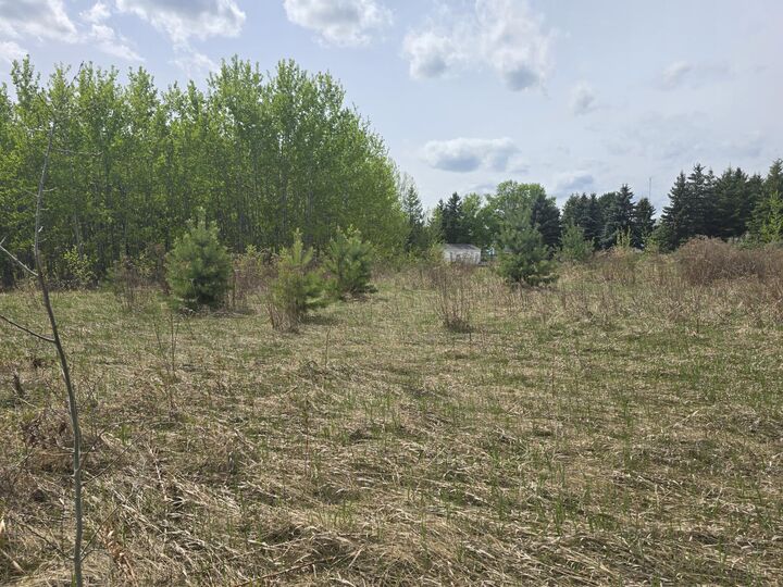 Property Photo:  487  Lakeside Drive  AB T7Z 2T7 