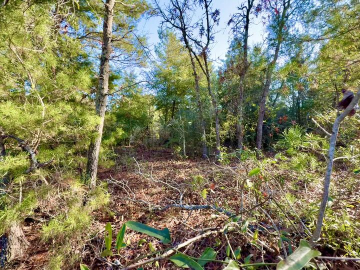 Property Photo:  Lot 6 Blk 14 E Tiger Lily Lane  FL 32433 