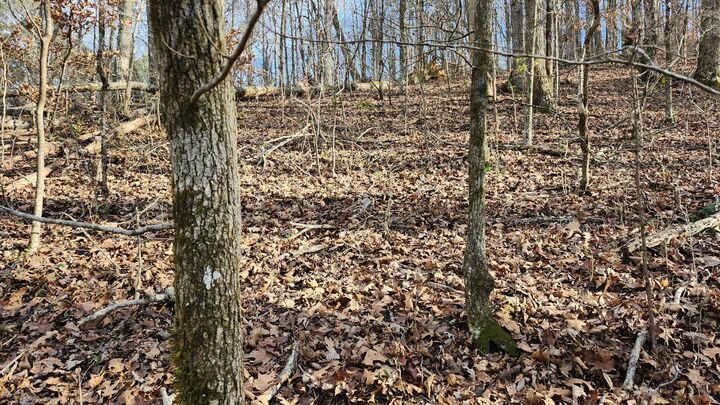 Property Photo:  496 Hancock (5-Acre Portion) Road  TN 37347 