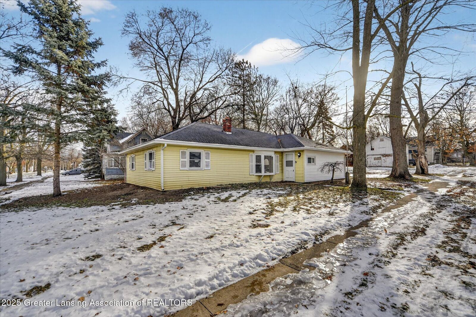 Property Photo:  222 N Ovid Street  MI 48831 