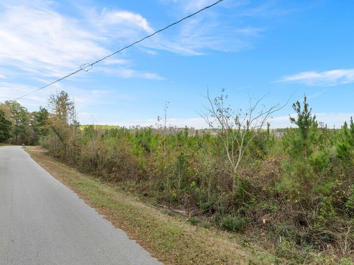 Property Photo:  83.50 Acre Guthrie Carter Rd.  MS 39459 