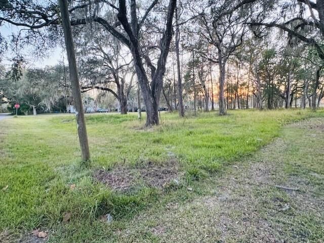 Property Photo:  17481 Celia Avenue  FL 34604 
