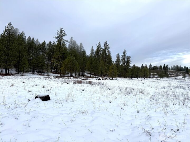 Property Photo:  122  Art Creek Road  WA 99150 