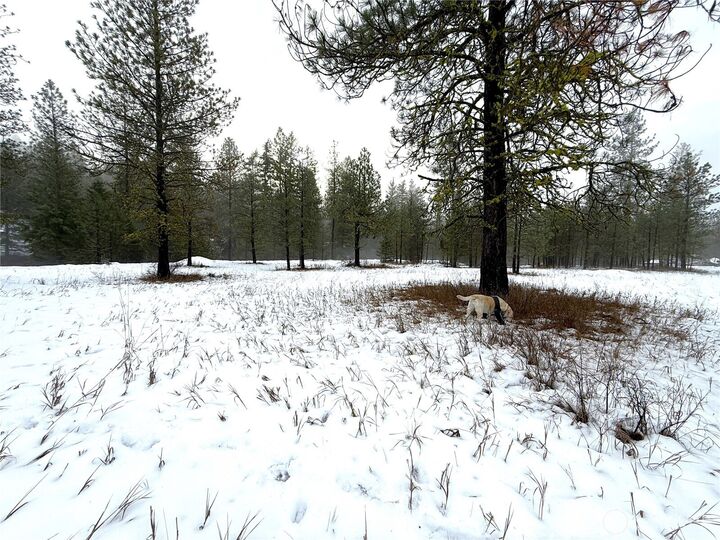 Property Photo:  122  Art Creek Road  WA 99150 