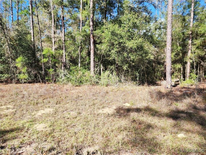 Property Photo: 8760 N Malibu Road FL 34434