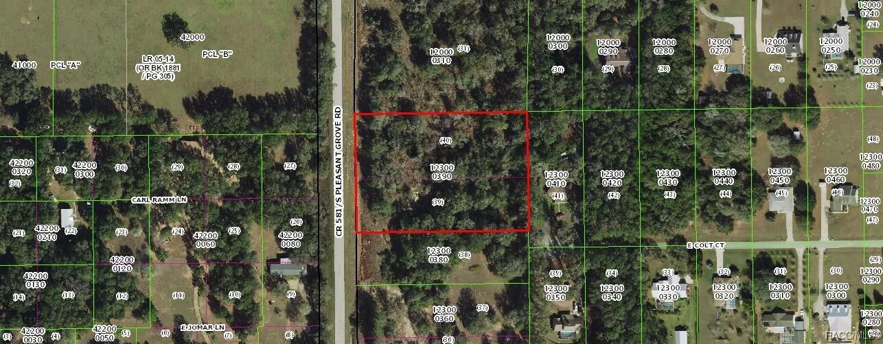 Property Photo:  8907 S Pleasant Grove Road  FL 34452 