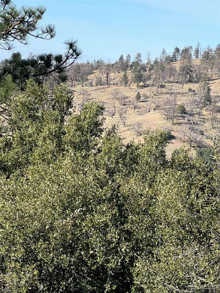 Property Photo: 25301 Paramount Drive CA 93561