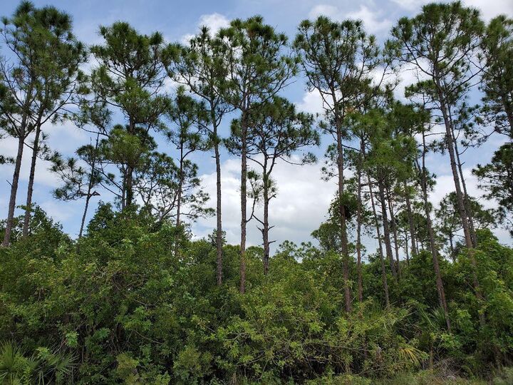 Property Photo:  Tbd Southwind Trail  FL 34951 
