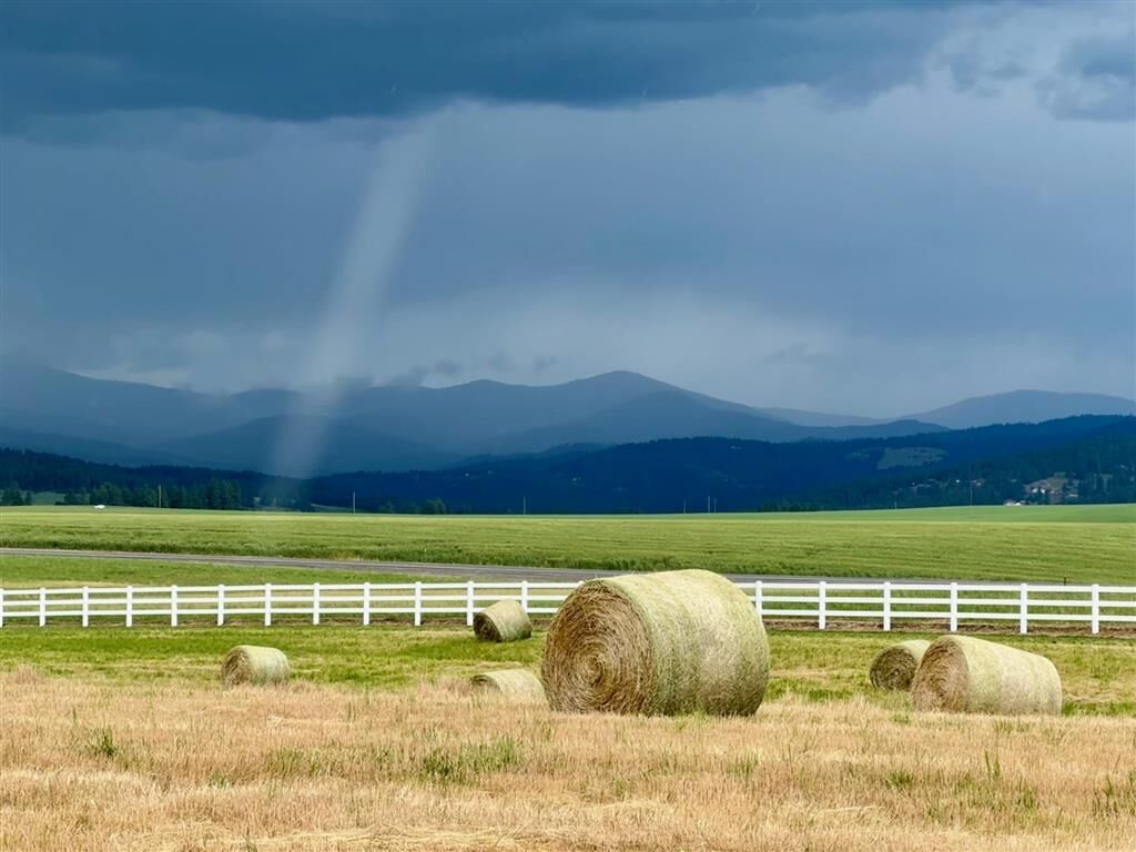 Property Photo:  11317 N Bruce Rd  WA 99217 