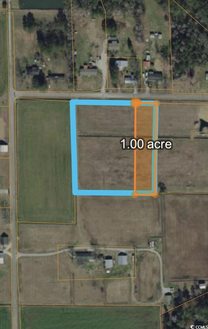 Property Photo: Tbd Loop Rd. SC 29569