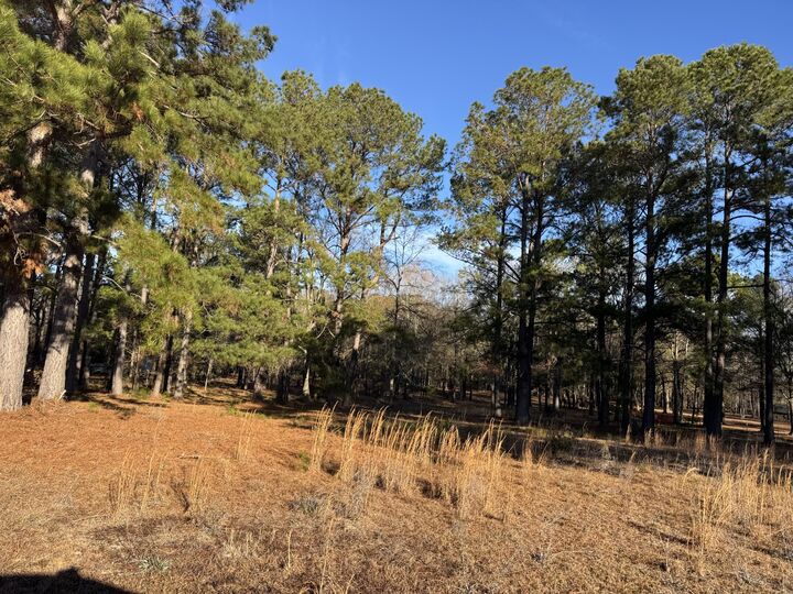 Property Photo:  00 Lake Marion Shores Road  SC 29148 