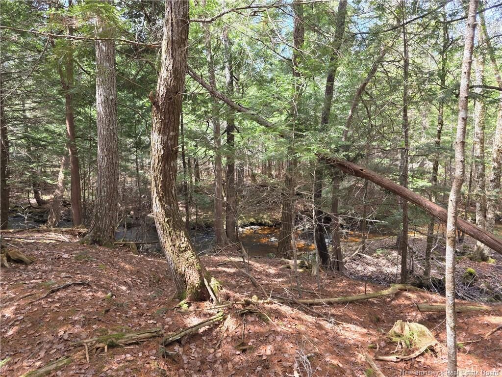 Property Photo: 0 Crest Avenue NB E3L 5C1
