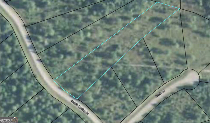 Property Photo:  1296 Janells River Drive  GA 31537 