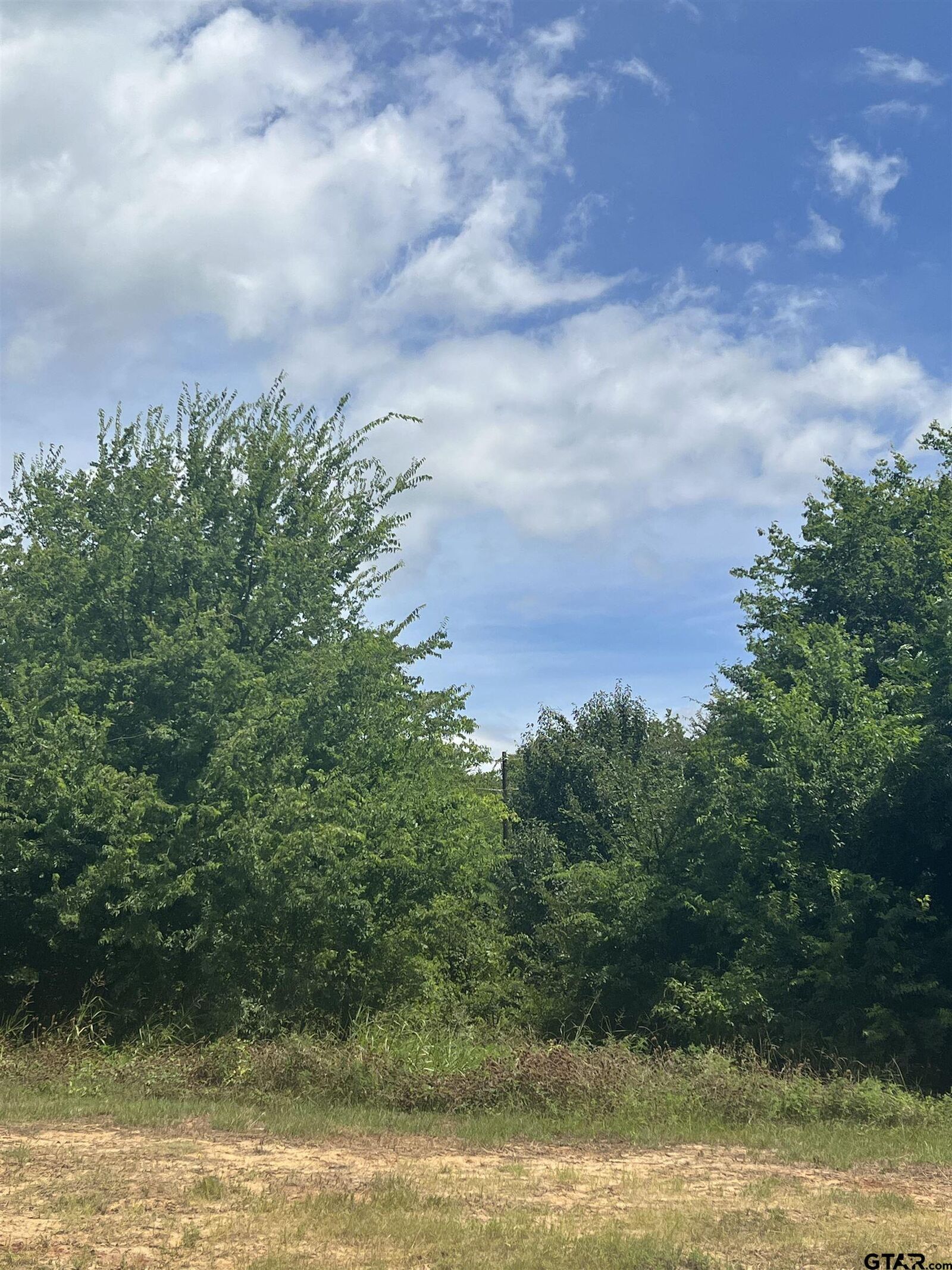 Property Photo: 000 Sh 64 TX 75754