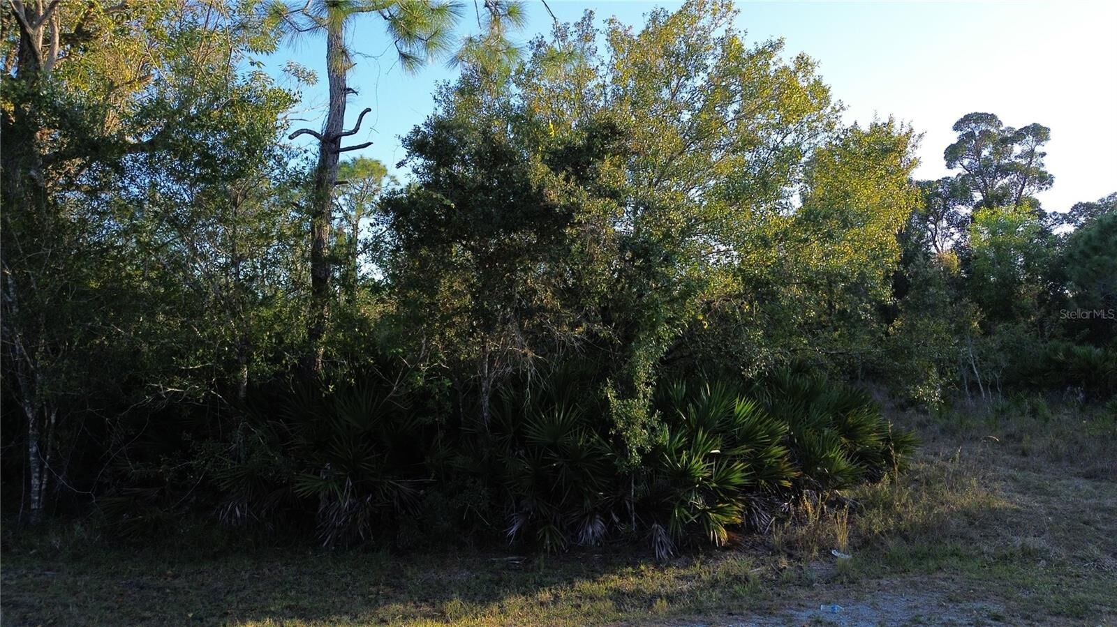 Property Photo:  27481 Senator Drive  FL 33955 