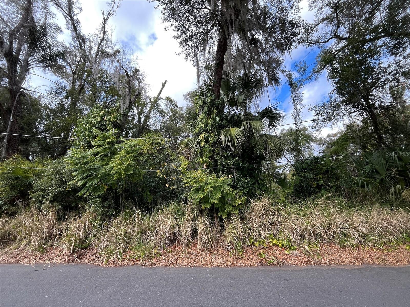 Property Photo:  0 E Fruitland Street  FL 34731 
