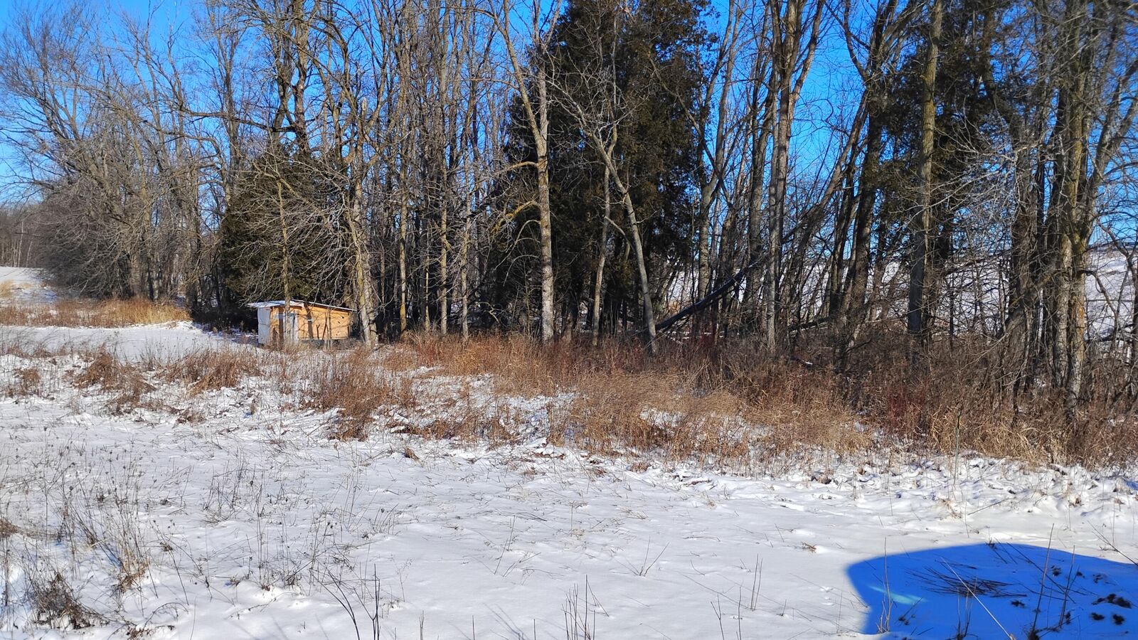 Property Photo:  Lt4 Carstens Rd  WI 54220 