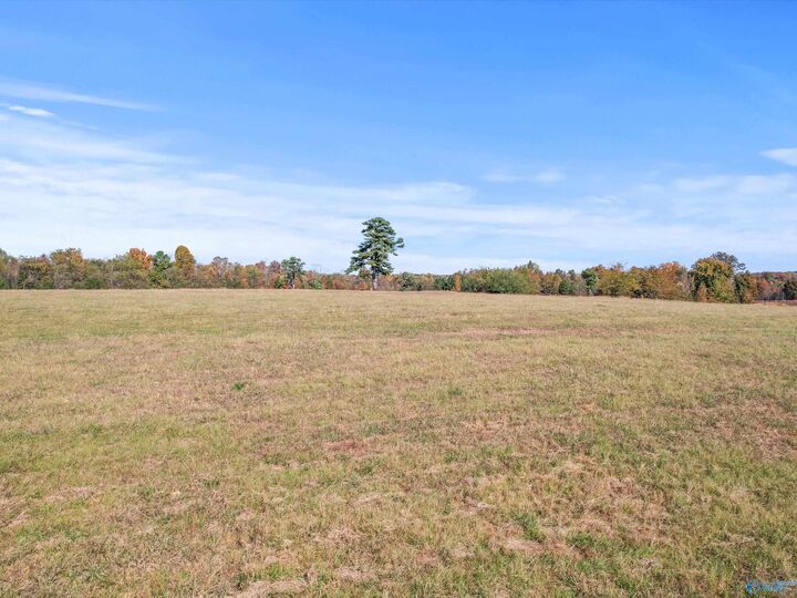 Property Photo:  99 Hobbs Loop Road  AL 35739 