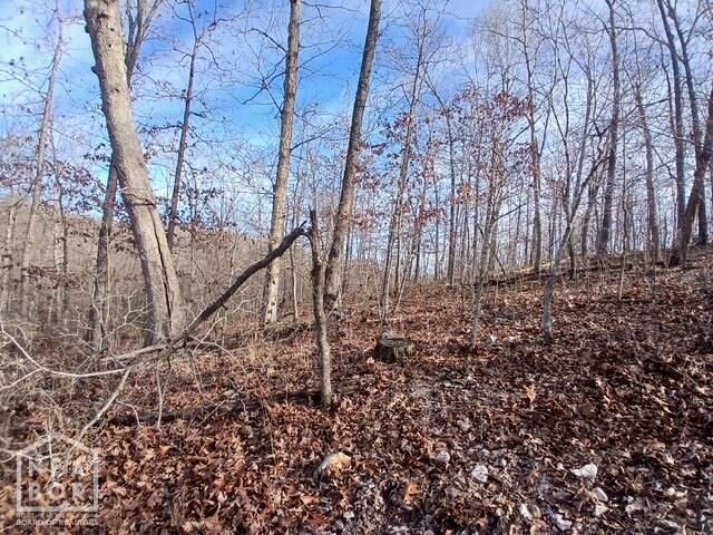 Property Photo:  1 E Wirth Rd  AR 72459 