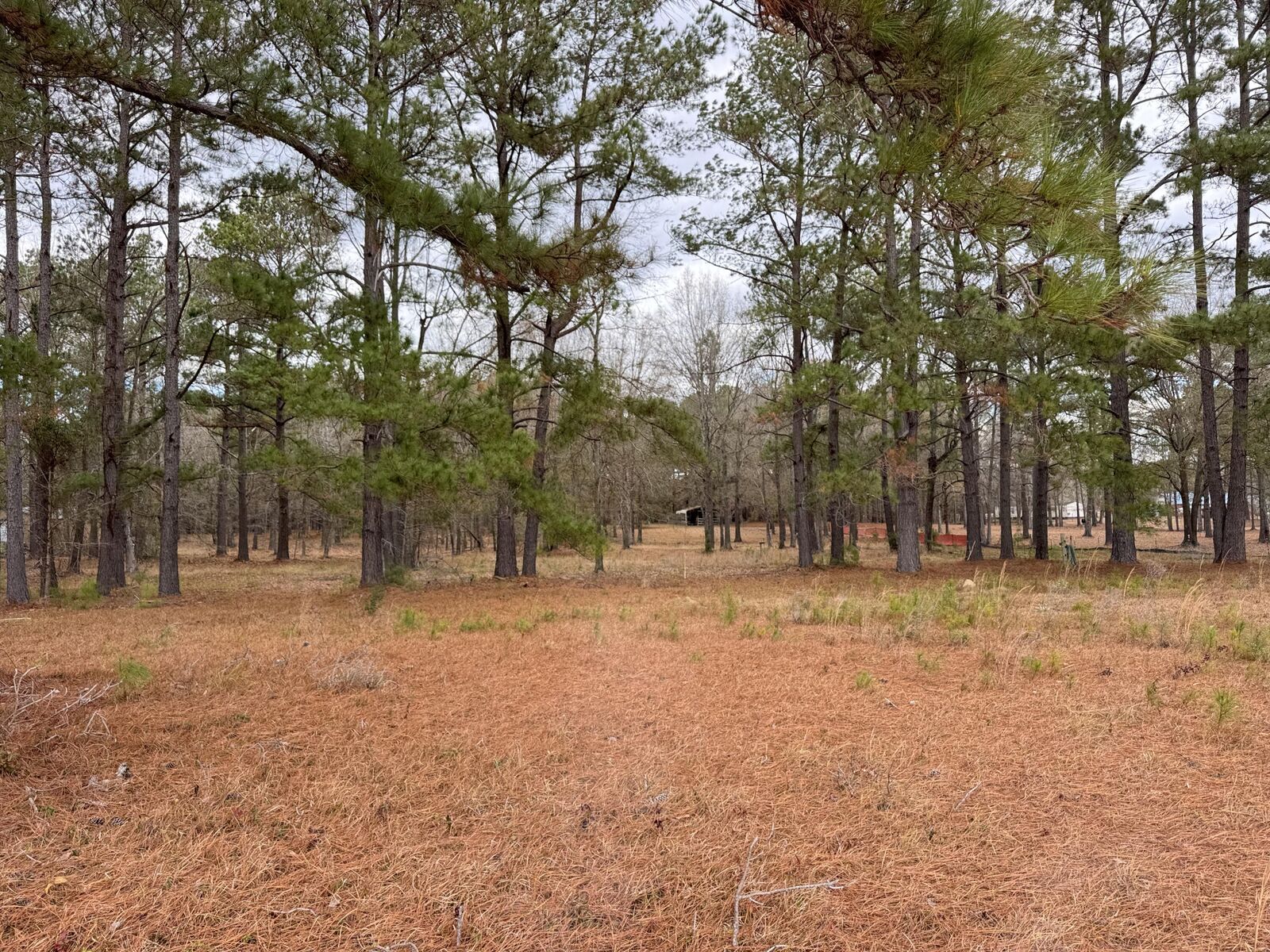 Property Photo: 00 Lake Marion Shores Road SC 29148