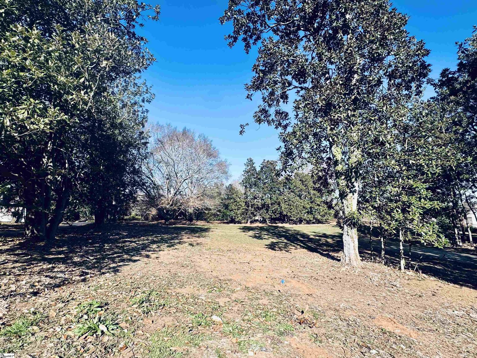 Property Photo:  00 Forest View Drive Lot #1  SC 29605 