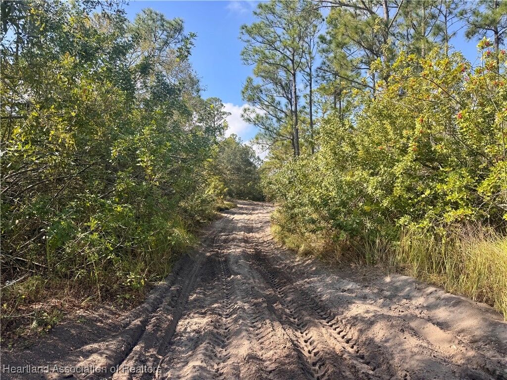 Property Photo:  2163 Petunia Avenue  FL 33875 