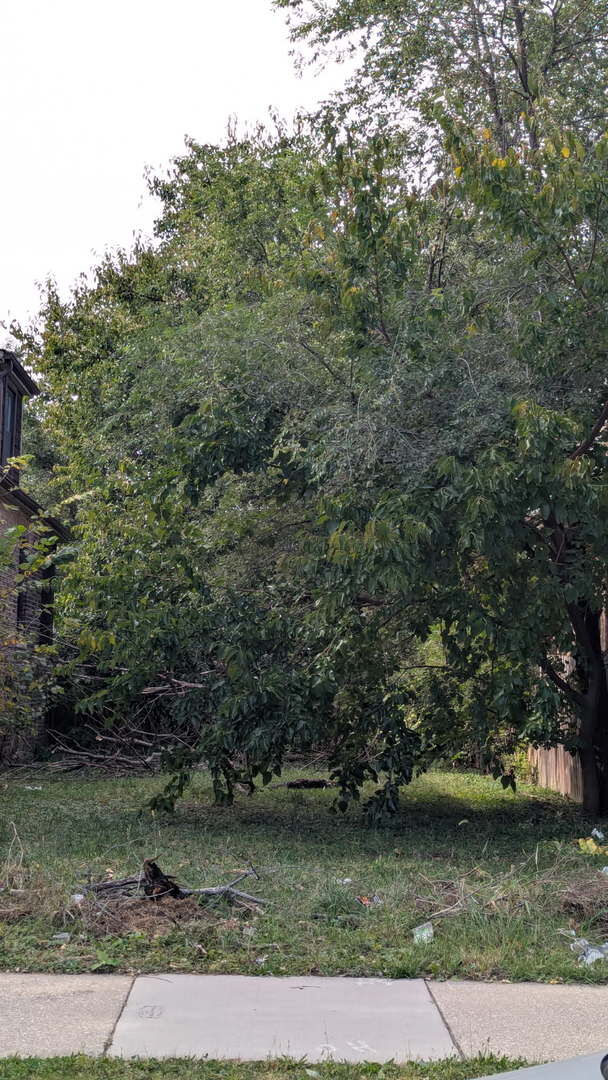 Property Photo: 6722 S Oakley Avenue IL 60636