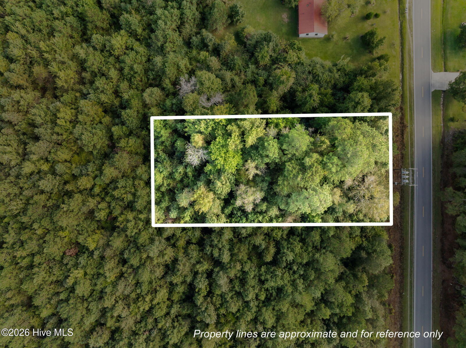 Property Photo: Tbd Gurganus Road NC 28454