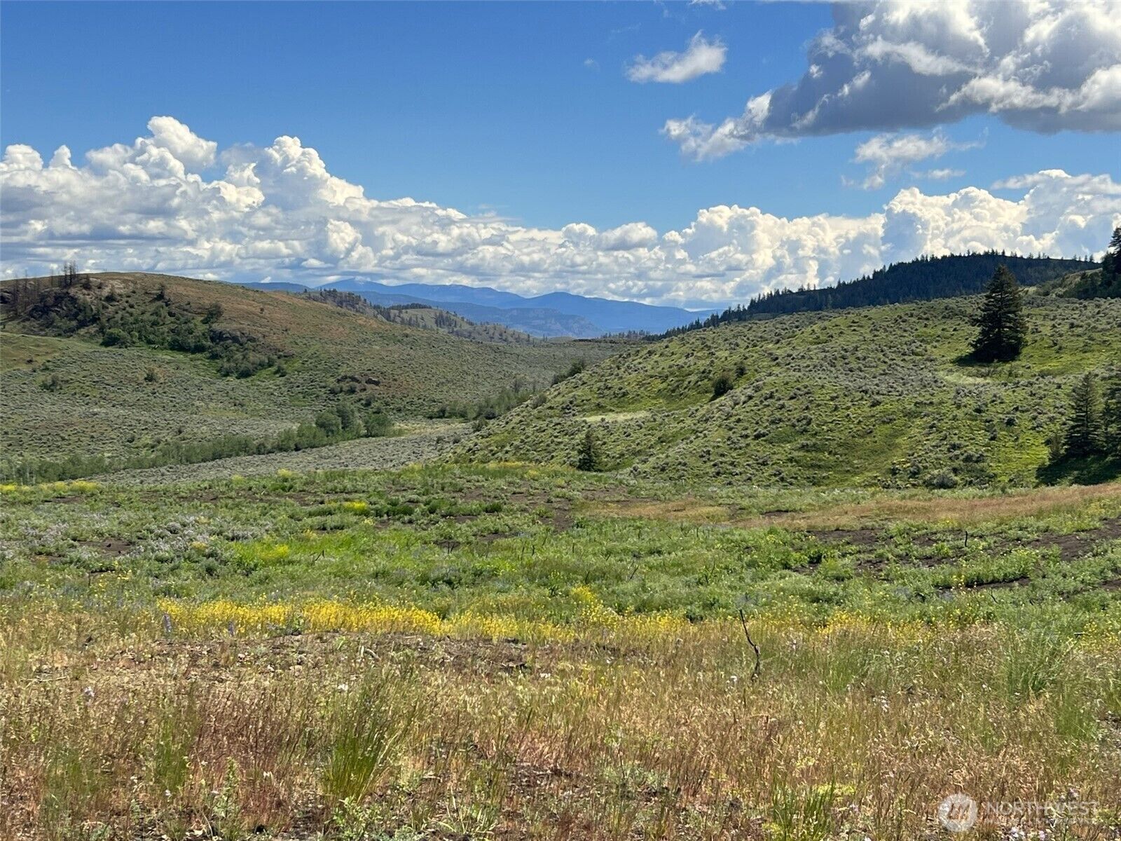 Property Photo: 0 Tbd Ellemeham Mountain Road WA 98844