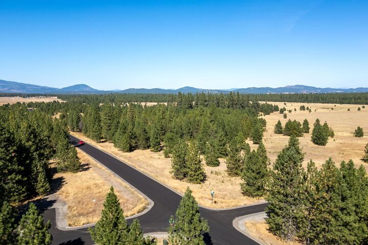Property Photo: Nka W W Findley Ln Lot 3 Ln Lot 3 WA 99006