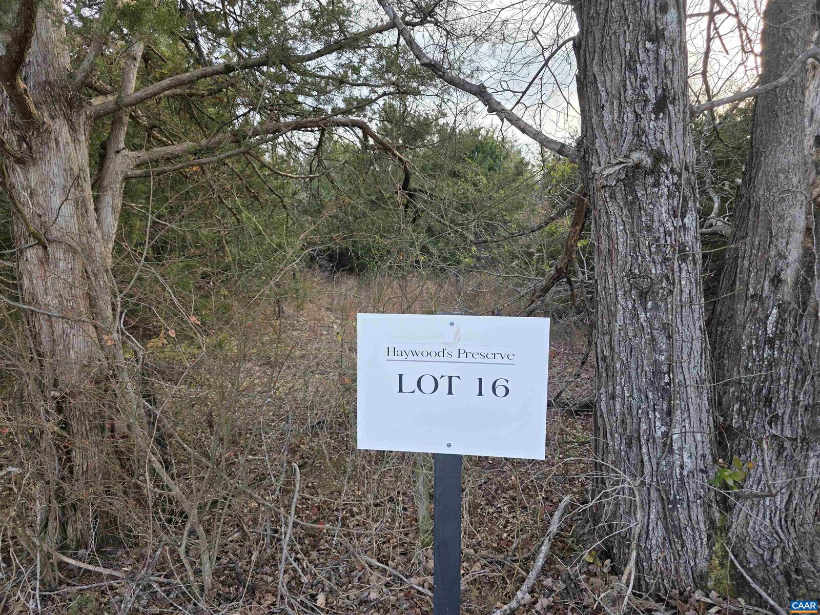 Property Photo: Lot 16 Pea Ridge Rd VA 22973