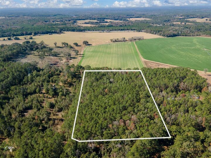 Property Photo:  Tbd N County Rd 1491  FL 32615 