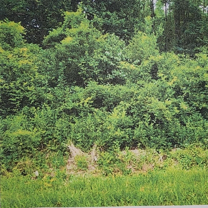 Property Photo: Xxxx Xxxx Fairbanks Ferry FL 32312