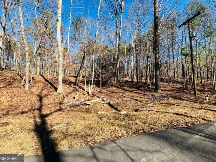 Property Photo: 111 Fox Oak Court GA 30183