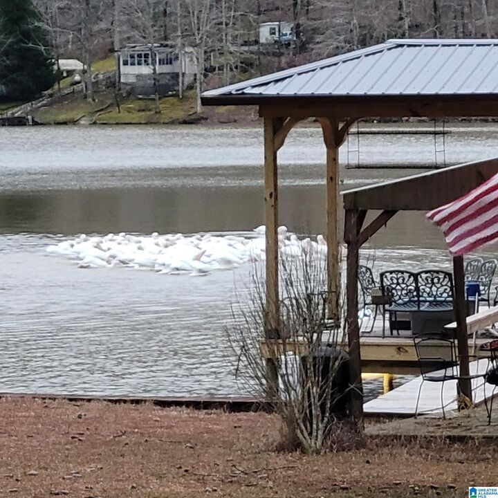 Property Photo: 555 Reed Road None AL 35953