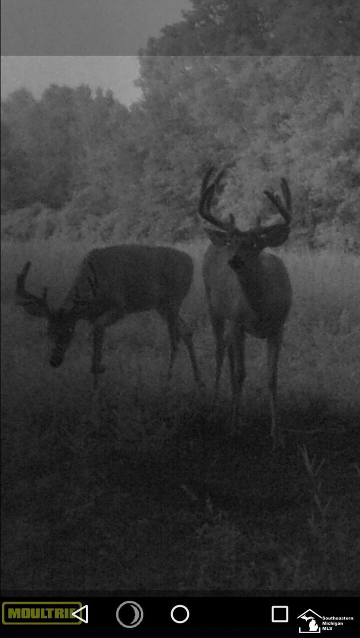 Property Photo: Stewart Road Road MI 48162