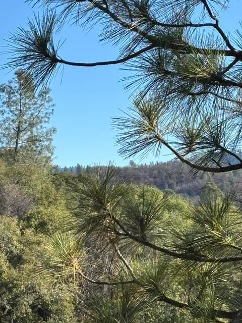 Property Photo:  27447 W Laikam Lane  CA 95310 